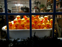 Tub O' Ducks